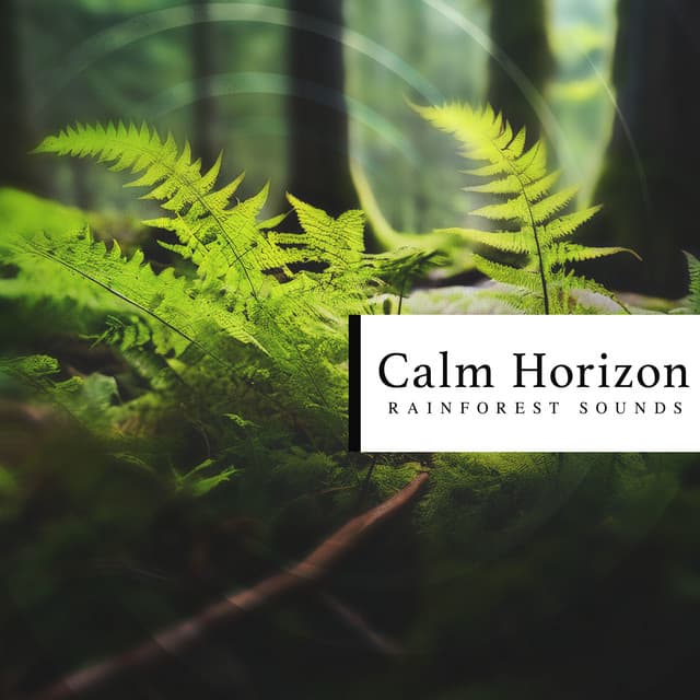 Calm Horizon - Rainforest Sounds