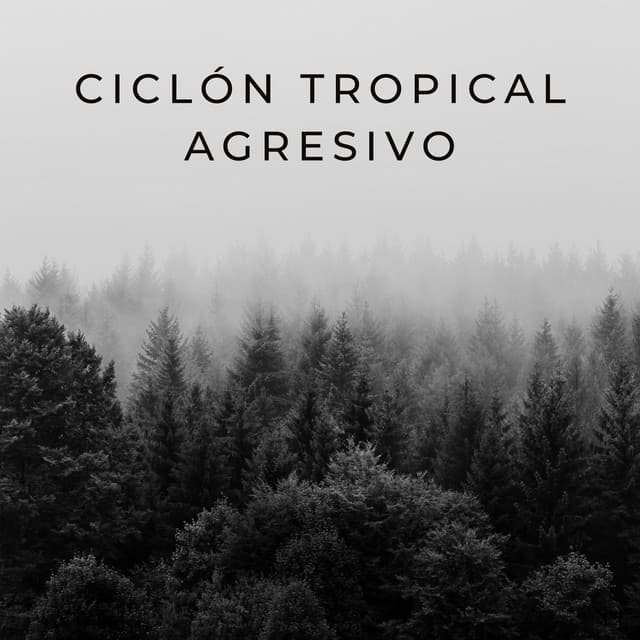 Ciclón Tropical Agresivo - Lluvia y Naturaleza