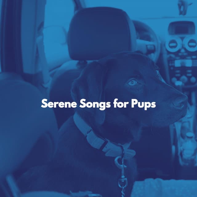 Serene Songs for Pups - Musica Relajante para Perros Momentos