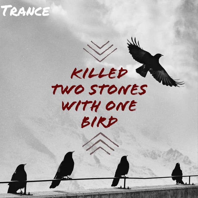 Killed Two Stones with One Bird - Trance