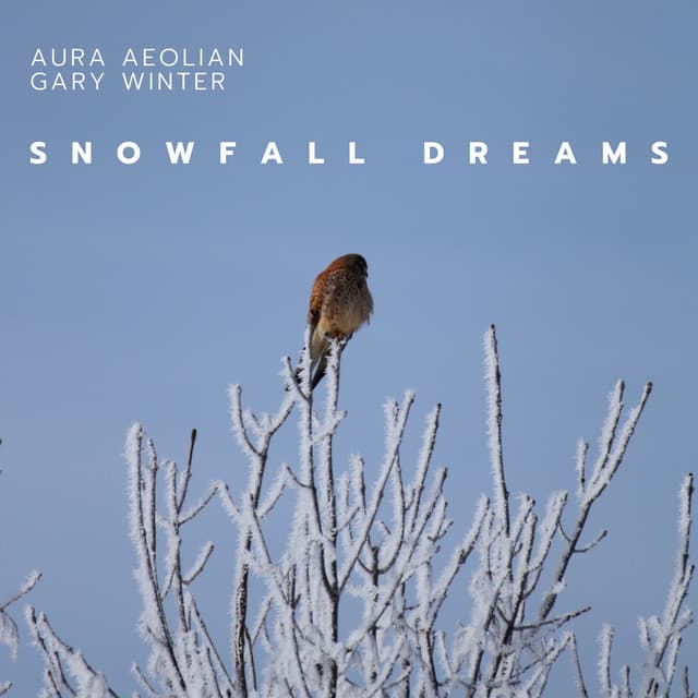 Snowfall Dreams: A Journey Into Winter’s Embrace - Aura Aeolian