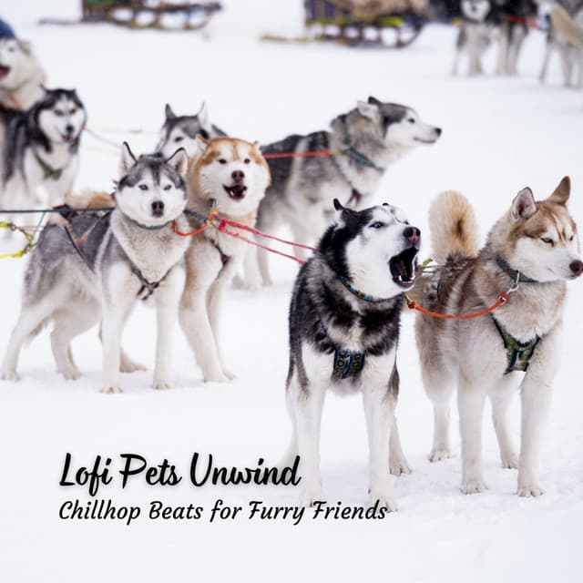 Lofi Pets Unwind: Chillhop Beats for Furry Friends - Lofi Tokyo