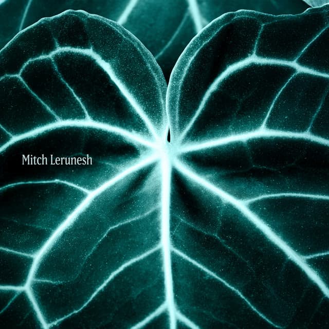Nerve Garden Rituals, Polyvagal - Mitch Lerunesh