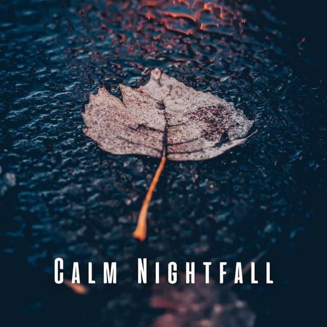 Calm Nightfall: Sleep to Rain on Puddle and Thunder Harmony - Night FX