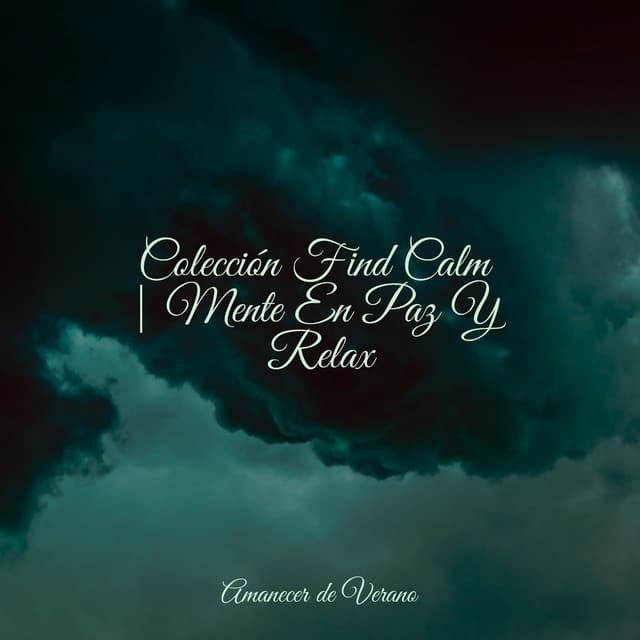 Colección Find Calm | Mente En Paz Y Relax - Rising Higher Meditation