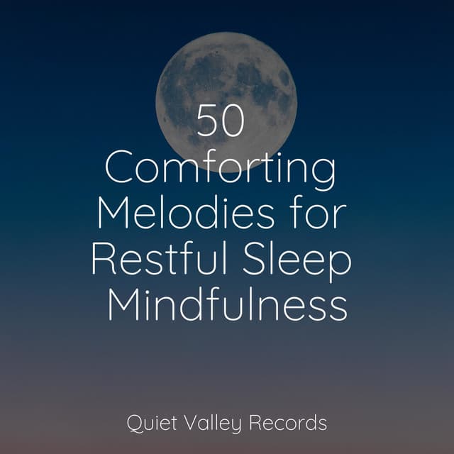 50 Comforting Melodies for Restful Sleep Mindfulness - Rain Sounds Collection