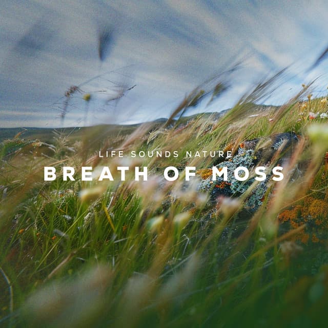 Breath of Moss - Life Sounds Nature