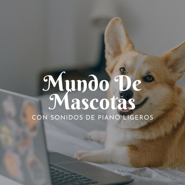 Mundo De Mascotas Con Sonidos De Piano Ligeros - Tranquilidad Piano