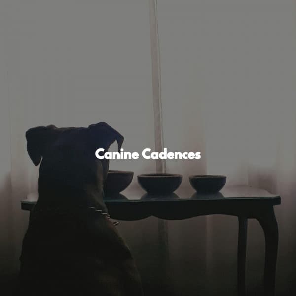 Canine Cadences - Easy Listening Instrumental Music
