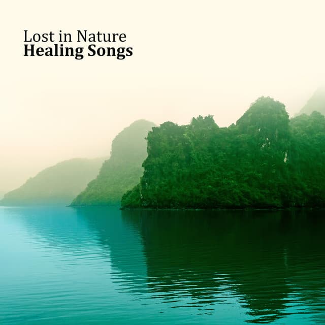Lost in Nature: Healing Songs, Discover, Meditation, Relax, Natural Sounds - Yoga Meditation Guru