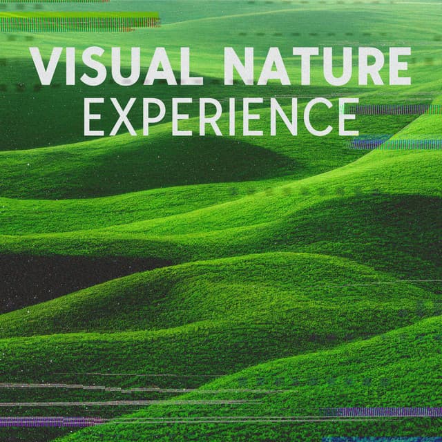 Visual Nature Experience: Diverse Nature Music for Yoga and Relaxation - Deep Visualization Zen