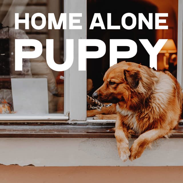 Home Alone Puppy: Good Dog Music for Soothing Your Pet - Calming Waters Consort