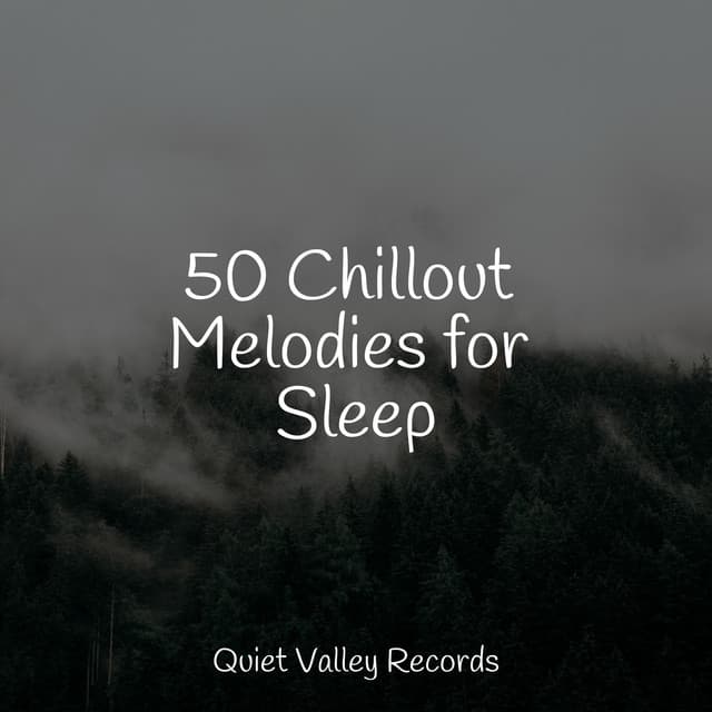 50 Chillout Melodies for Sleep - Sleep Songs 101