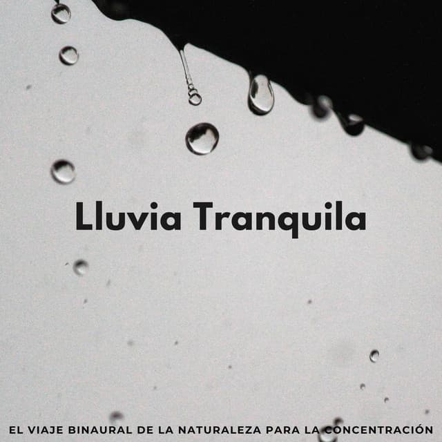Lluvia Tranquila: El Viaje Binaural De La Naturaleza Para La Concentración - Sonidos de lluvia ACE