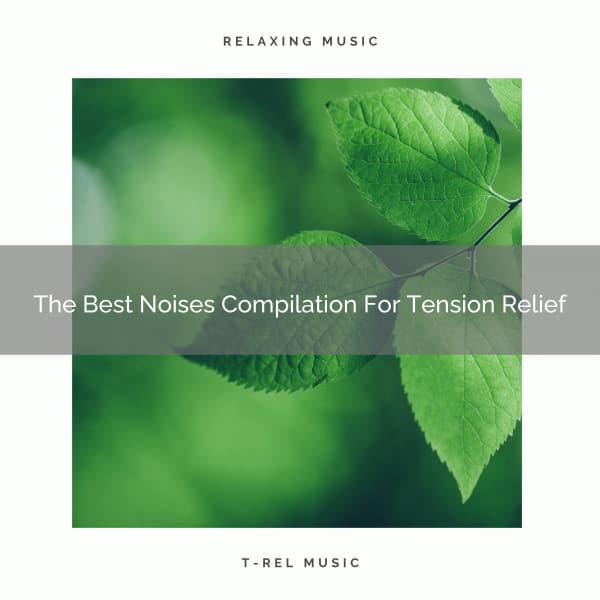 The Best Noises Compilation For Tension Relief - Baby Sleep Aid