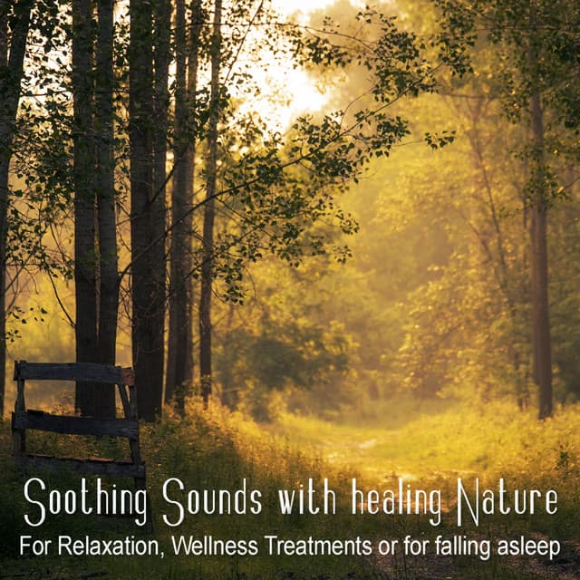 Soothing Sounds and Healing Nature - For Relaxation, Wellness Treatments or for falling asleep - Wellness Pur