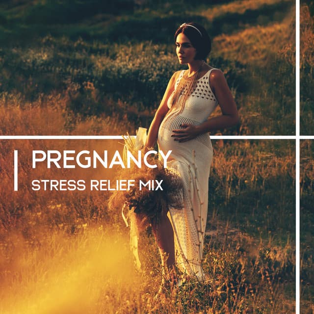 Pregnancy Stress Relief Mix: Pregnancy Yoga, Meditation & Relax, Calming Music for Pregnant - Pregnancy Academy