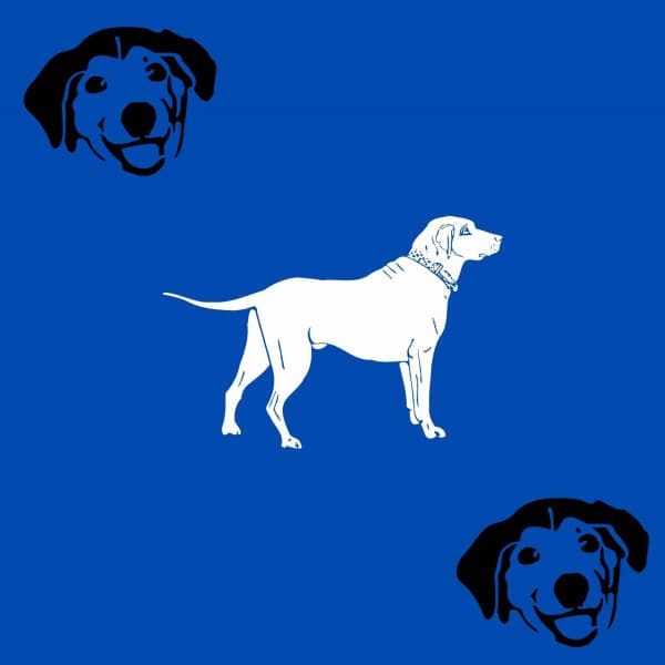 Music for Perfect Puppies - Wicked Jazz Quintet - Calma Música para Perros