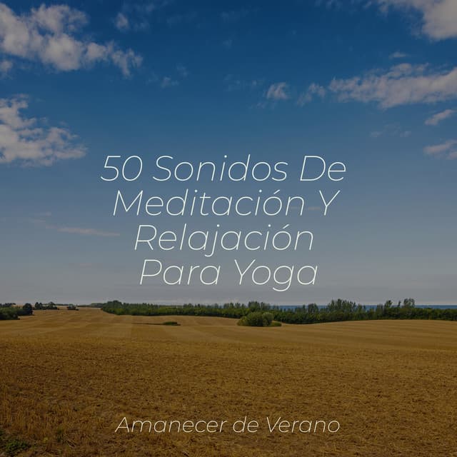 50 Sonidos De Meditación Y Relajación Para Yoga - Masajes Spas