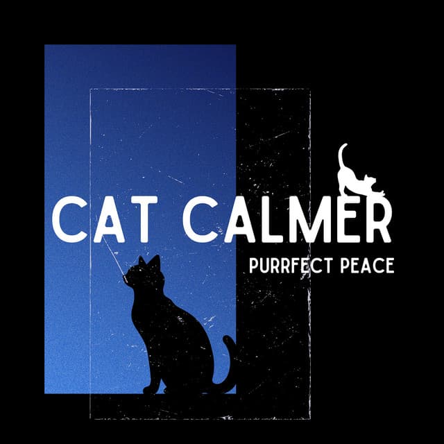 Purrfect Peace: Creating Calm for Anxious Cats - Cat Calmer