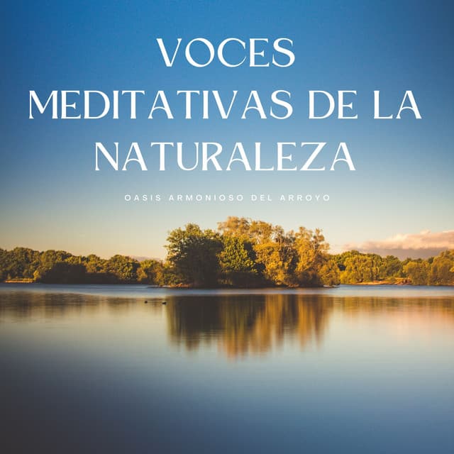 Voces Meditativas De La Naturaleza: Oasis Armonioso Del Arroyo - Sonidos de paz