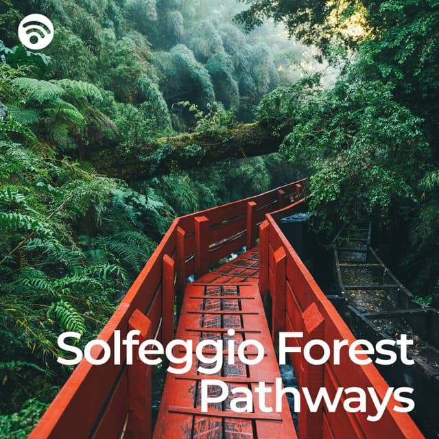 Solfeggio Forest Pathways - Spiritualizer