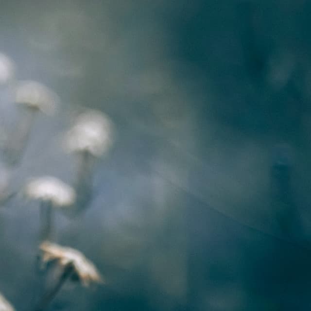 50 White Noise Sounds: Meditation Harmony - Focus Noise