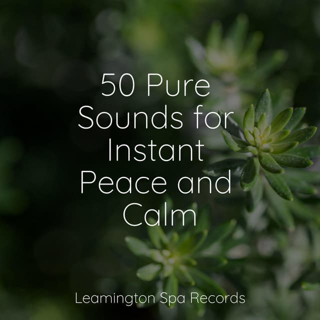 50 Pure Sounds for Instant Peace and Calm - Sounds Of Nature : Thunderstorm, Rain
