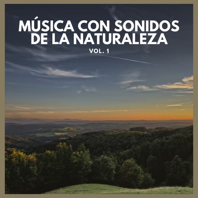 Música con Sonidos de La Naturaleza Vol. 1 - Lluvia Del Bosque