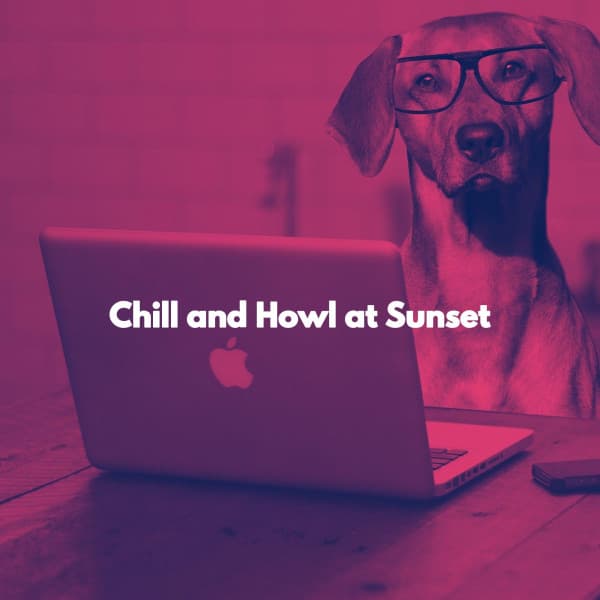 Chill and Howl at Sunset - Música para Oficinas De Lujo
