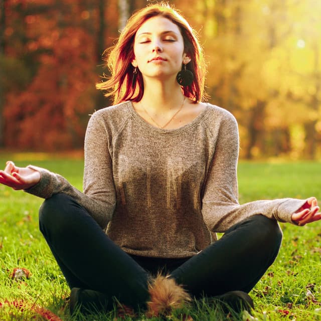 Mind Healing: Music for Meditation Depth - Flute Music Group