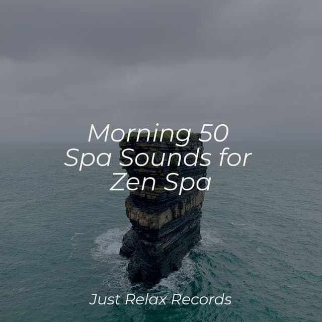 Morning 50 Spa Sounds for Zen Spa - Música Para Meditar y Relajarse