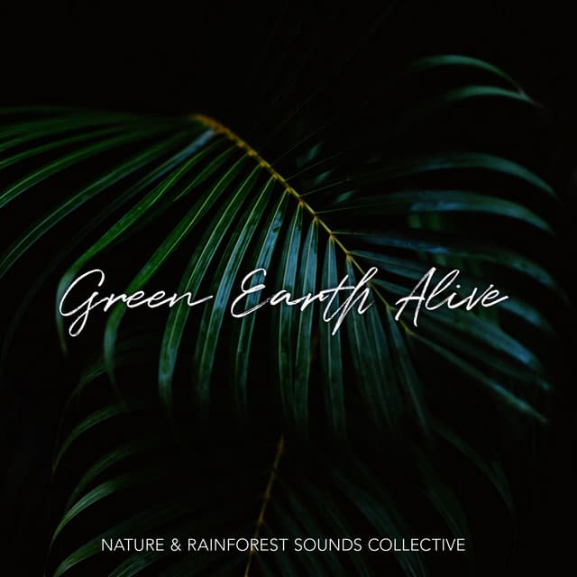 Green Earth Alive - Nature & Rainforest Sounds Collective