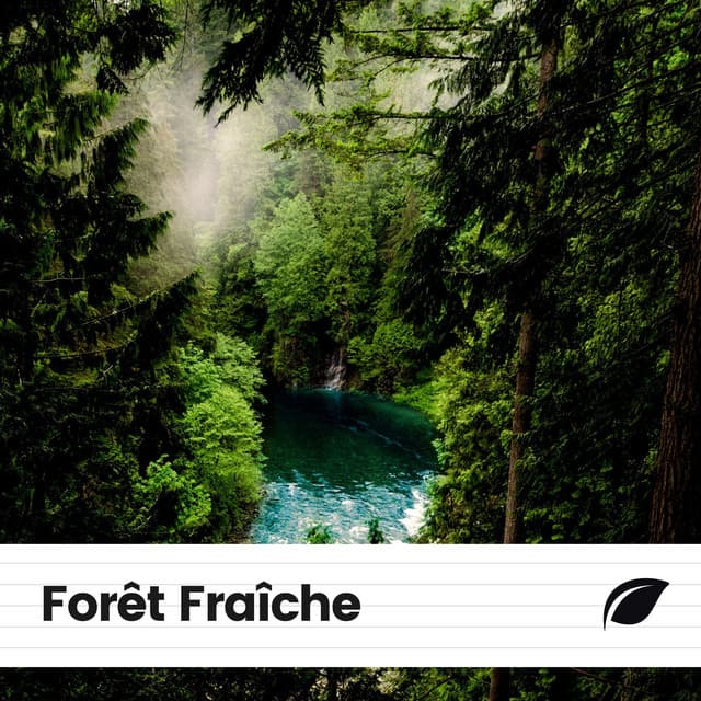 Forêt Fraîche - Sons de la nature