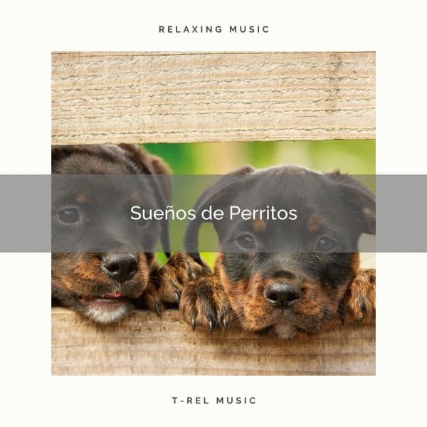 2021 Sueños de Perritos - Música Relajante para Perros