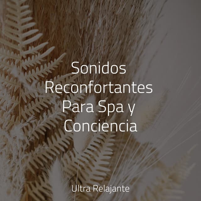 Sonidos Reconfortantes Para Spa y Conciencia - Canção de Ninar Bebê