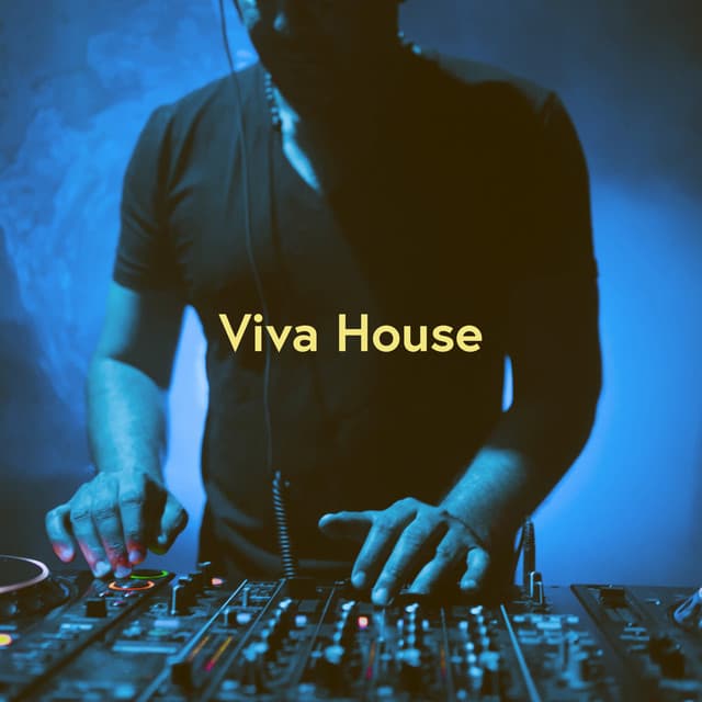 Viva House - Bar Lounge