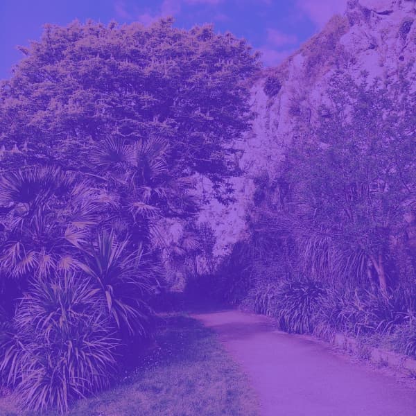 Feelings for Storytelling - Vintage Cafe Playlist