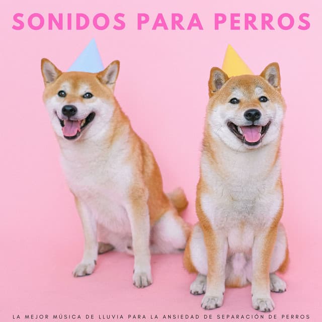 Sonidos Para Perros: La Mejor Música De Lluvia Para La Ansiedad De Separación De Perros - Cascada de Lluvia