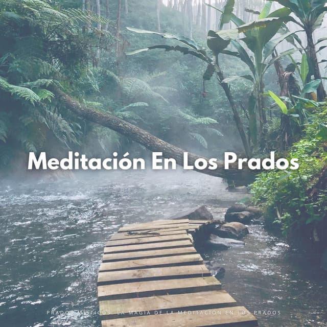 Prados Místicos: La Magia De La Meditación En Los Prados - Medicina Espiritual