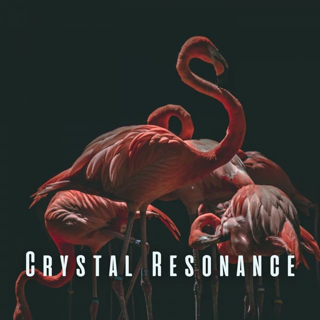 Crystal Resonance: Calming Birds and Chill Sounds for Meditation - Naturally Recurring