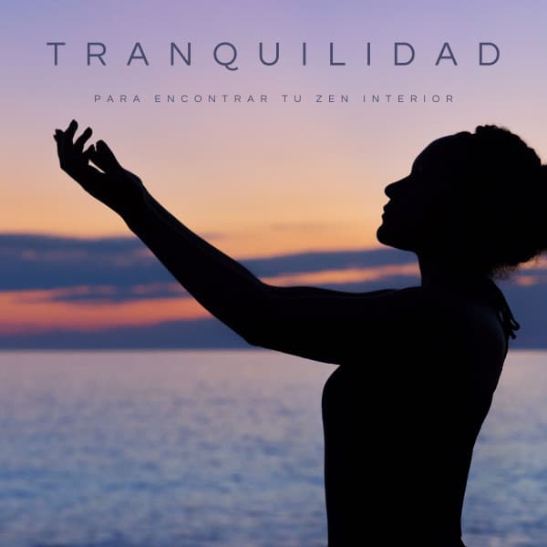 Tranquilidad Para Encontrar Tu Zen Interior - Estudiando Música