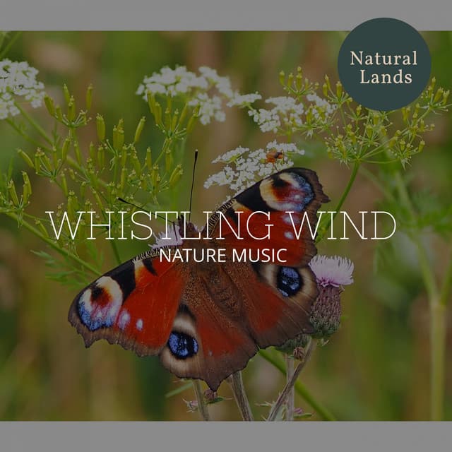 Whistling Wind - Nature Music - Sleepy Times