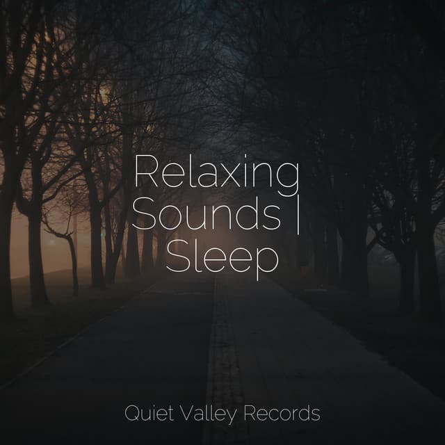 Relaxing Sounds | Sleep - Meditação Clube