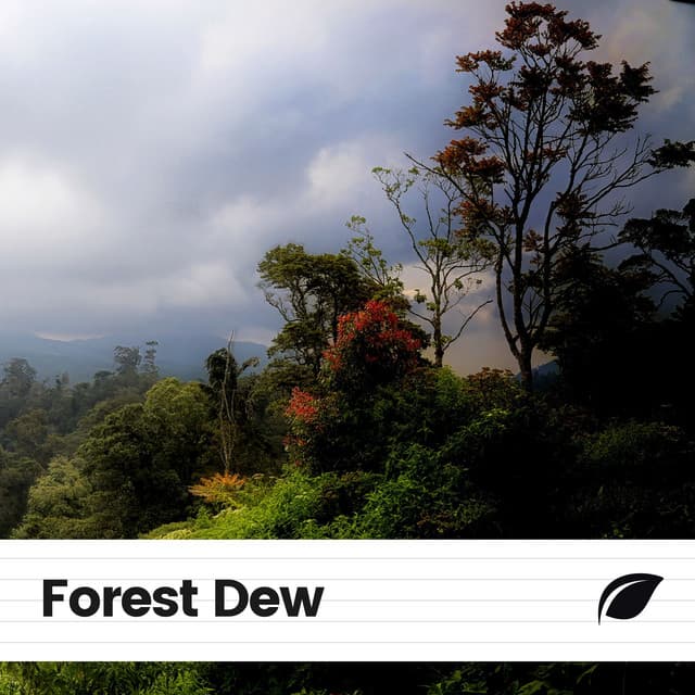 Forest Dew - Worldwide Nature Studios