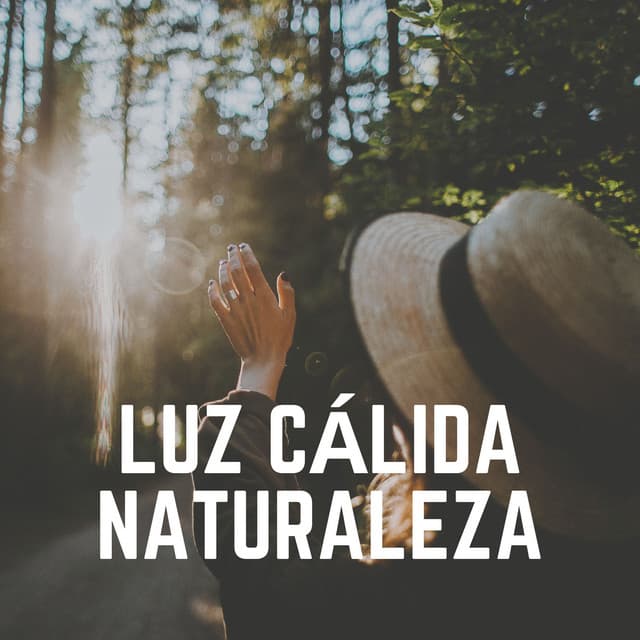 Luz Cálida Naturaleza - Sonidos de la Naturaleza para Dormir