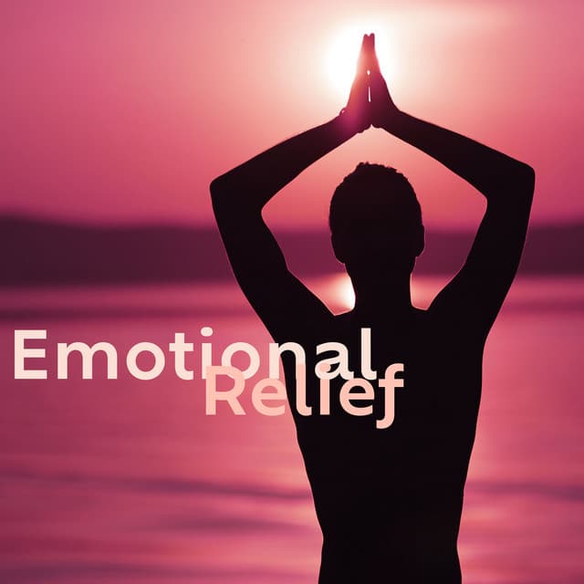 Emotional Relief: Therapy Music for Stress Ease, Face & Overcome Challenges, Stay Mentally Balanced - Calm Music Zone