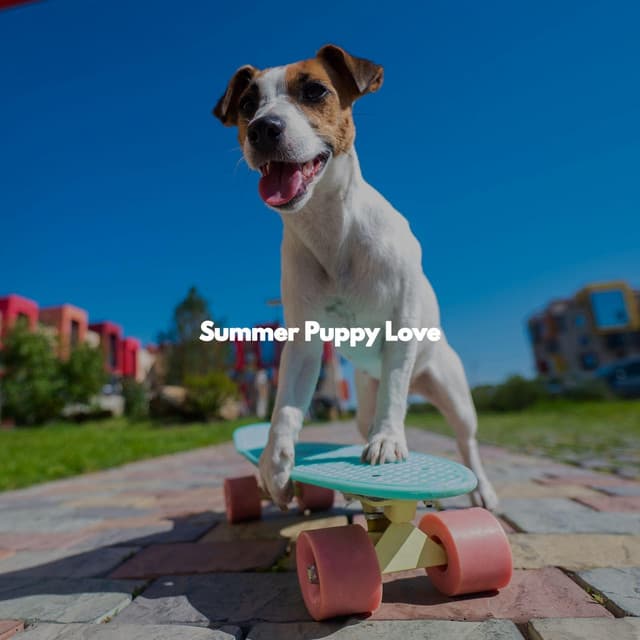 Summer Puppy Love - Sleep Jazz