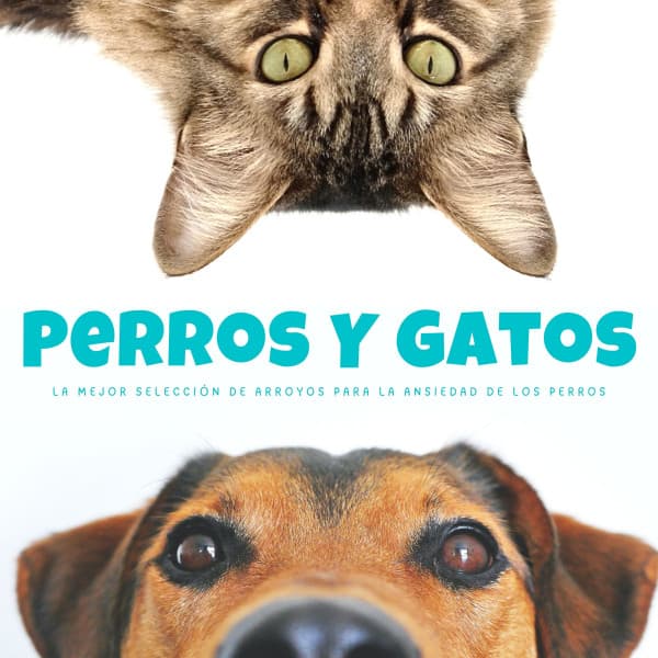 Perros Y Gatos: La Mejor Selección De Arroyos Para La Ansiedad De Los Perros - Música Pura Para Perros