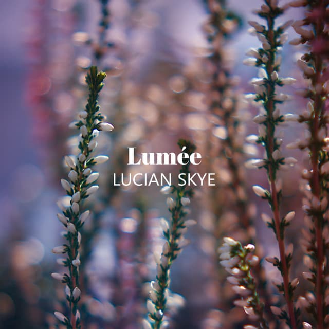 New Moon Drain - Lumée